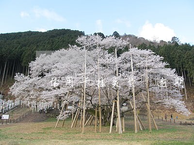 信用卡挂失费 逾期 信用卡挂失费 逾期